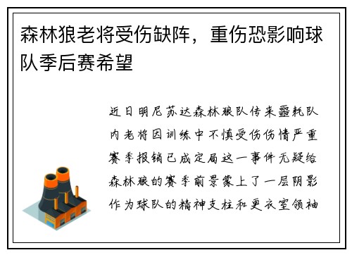 森林狼老将受伤缺阵，重伤恐影响球队季后赛希望